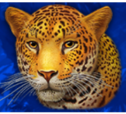 Símbolo Leopardo