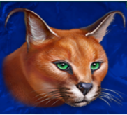 Símbolo Lince