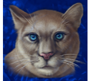 Símbolo Puma