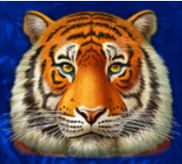 Símbolo Tigre