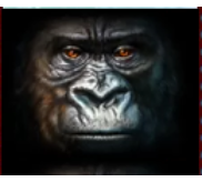 Símbolo Gorilla