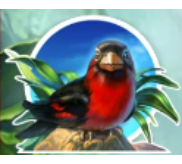 Símbolo Pájaro Rojo