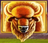 Búfalo