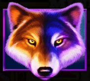 Lobo