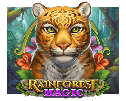 Rainforest Magic