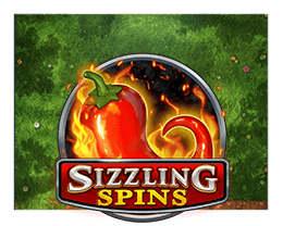 Sizzling Spins